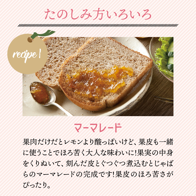 【期間限定】じゃばら果実 3キロ＋約300g (傷み保証分) 【予約受付/11月下旬より順次発送】【njb182A】