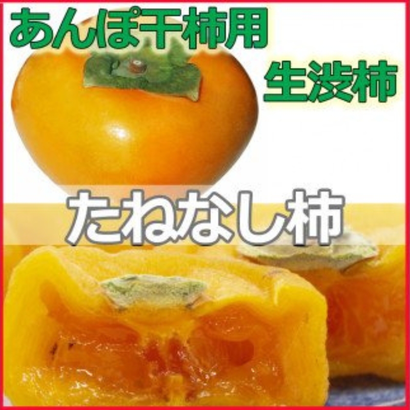 【県認定エコファーマー】あんぽ柿用生渋柿（平たねなし柿） 約4.5～5kg（約20～30玉）【2026年10月中旬～11月上旬ごろ順次発送(日付指定不可)】-AP【art003B】