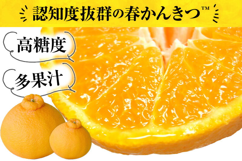 デコ不知火（デコポン） 約2.8kg/サイズおまかせ　※2027年2月上旬～2027年4月上旬頃に順次発送予定(お届け日指定不可)　紀伊国屋文左衛門本舗　【ntb421C】