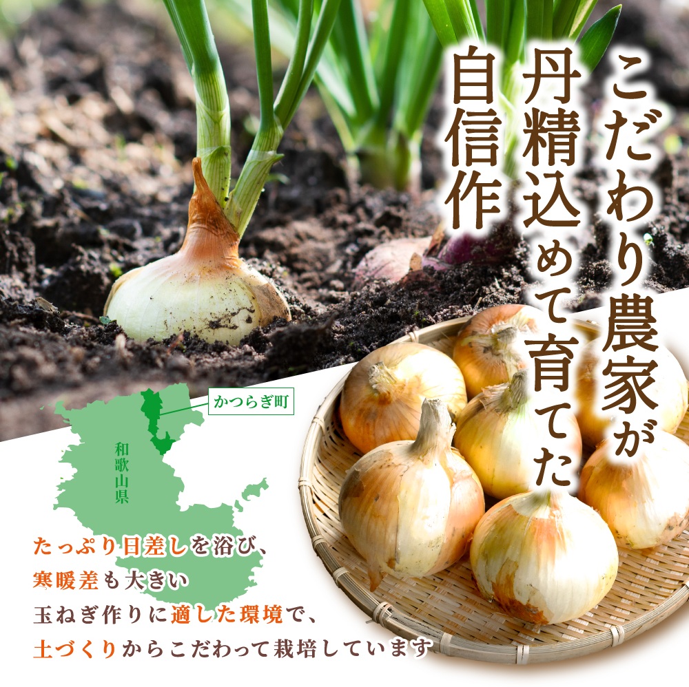和歌山県産新玉ねぎ約10kg　Lサイズ 約25個入り　こだわり農家厳選！【2026年4月末頃～6月中旬に発送予定】 | 人気 おすすめ たまねぎ 玉ねぎ 玉葱 タマネギ オニオン スープ サラダ 国産 野菜 新鮮 ビッグサイズ 大きい BBQ【kgr033】