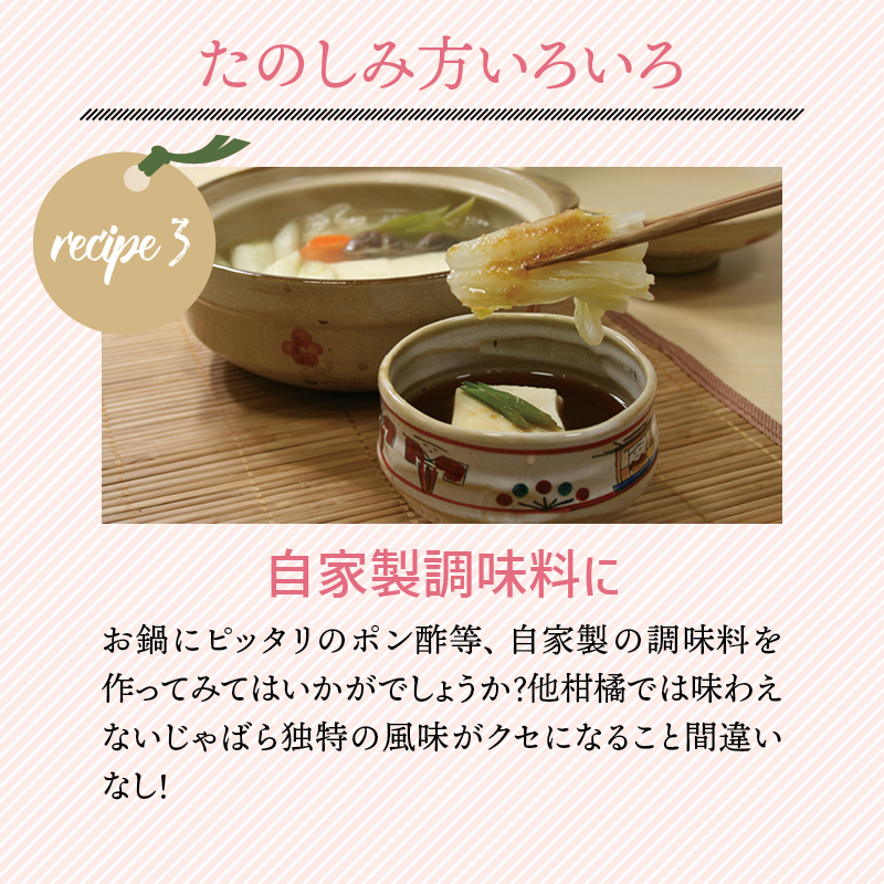 【期間限定】じゃばら果実 3キロ＋約300g (傷み保証分) 【予約受付/11月下旬より順次発送】【njb182A】