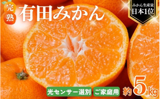 【 2027年1月発送予約 】 ご家庭用 こだわりの有田みかん 約5kg＋150g(傷み補償分)  光センサー選別 農家直送 / みかん ミカン 有田みかん 温州みかん 柑橘 フルーツ 果物 くだもの 旬 人気 みかん先行予約 家庭用 和歌山【nuk160-01B】