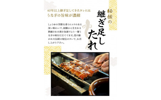 うなぎ ウナギ 鰻 大型サイズ ふっくら柔らか 国産 うなぎ蒲焼き 約170g×1尾 タレ付き / うなぎ ウナギ 鰻 うなぎの蒲焼 ウナギの蒲焼 鰻の蒲焼き 国産うなぎ 魚介 魚介類 うなぎ丼 うな重 ひつまぶし 人気