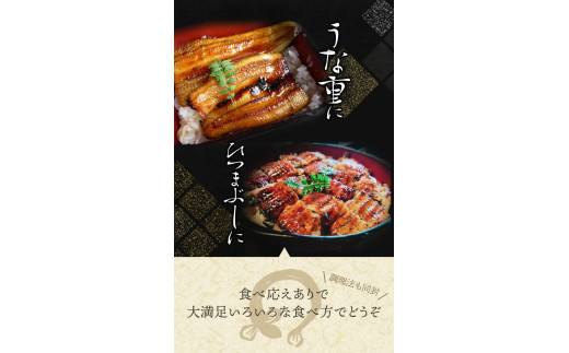 うなぎ ウナギ 鰻 大型サイズ ふっくら柔らか 国産 うなぎ蒲焼き 約170g×2尾 タレ付き【uot302B-3】