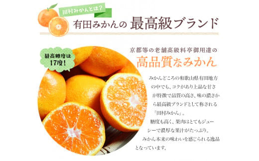 みかん 高級ブランド 田村みかん 5kg【予約】 ※2026年11月下旬～2027年1月下旬頃に順次発送予定 / みかん ミカン 有田みかん 温州みかん 田村みかん ブランドみかん フルーツ 果物 くだもの 柑橘【uot504B】