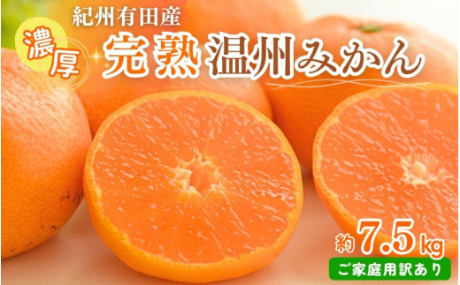 【ご家庭用訳アリ】紀州有田産濃厚完熟温州みかん　7.5kg　※2026年11月下旬～2027年1月下旬頃に順次発送予定(お届け日指定不可)【uot704B】