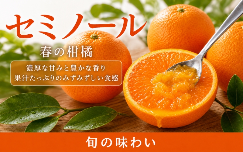 ジューシー柑橘　セミノールオレンジ　5kg【5月上旬～5月下旬頃発送予定】【uot869A】