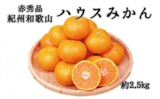 赤秀品　紀州和歌山ハウスみかん2.5kg【予約】※2027年6月末頃〜7月中旬頃に順次発送予定(お届け日指定不可)【uot735A】