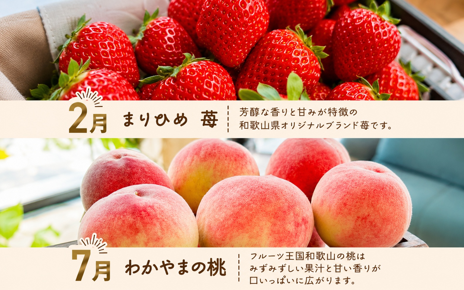 わかやま 旬の フルーツ 定期便【S】 全4回 / 有田みかん まりひめ いちご 桃 柿 ※北海道・沖縄・離島への配送不可【ard-tkb910】