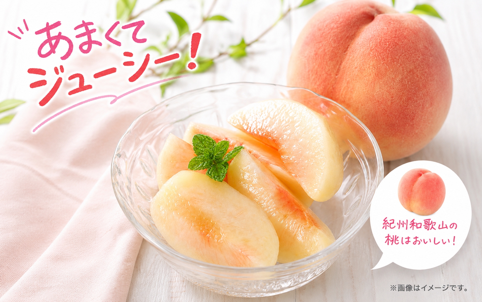 【ご家庭用訳あり】紀州和歌山産の桃　約1.8kg（5玉～8玉）※2027年7月中旬頃～8月中旬頃順次発送（お届け日指定不可）【uot873A】