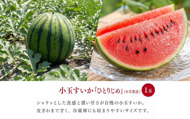 【全3回】紀州和歌山産旬のフルーツ定期便（セミノール・スイカ・桃）【5月・6月・7月】【tkb453】