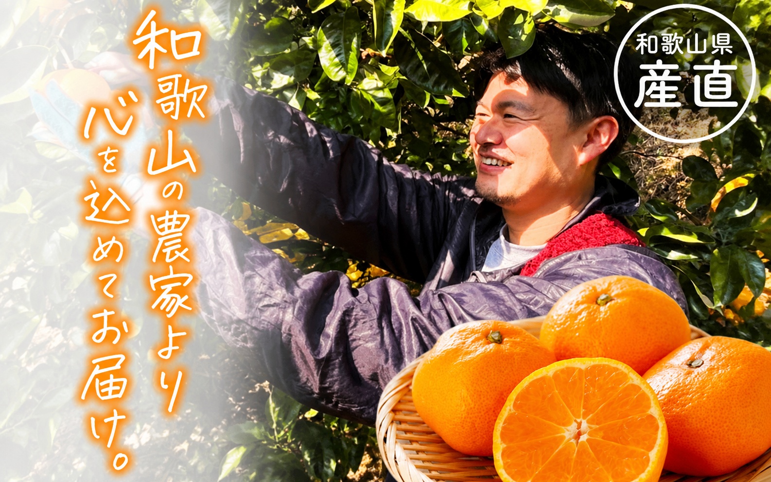 わかやま 旬の フルーツ 定期便【S】 全4回 / 有田みかん まりひめ いちご 桃 柿 ※北海道・沖縄・離島への配送不可【ard-tkb910】