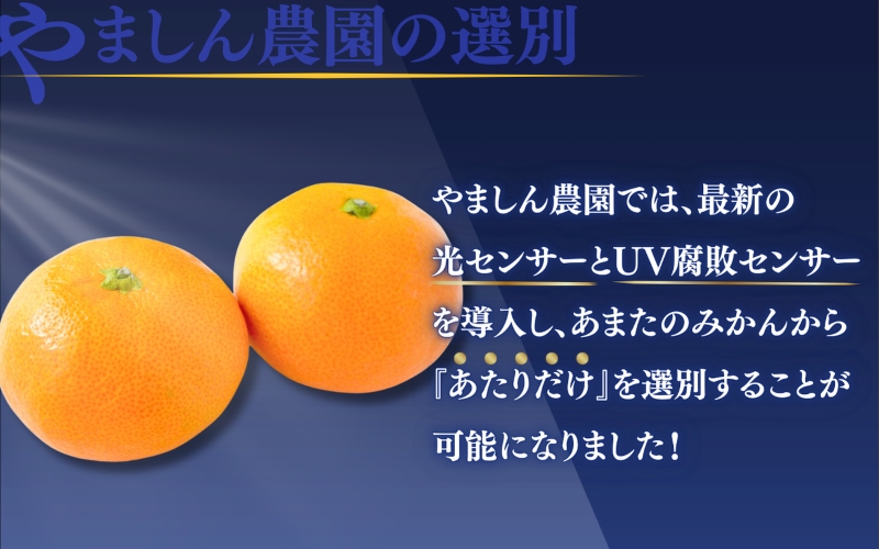 【2026年11月～2027年1月に順次発送予定】みかん ＼光センサー選別／極 有田みかんプレミアム 約3.5kg【光センサー 高糖度選別品】2S～Lサイズ  【nuk168C】