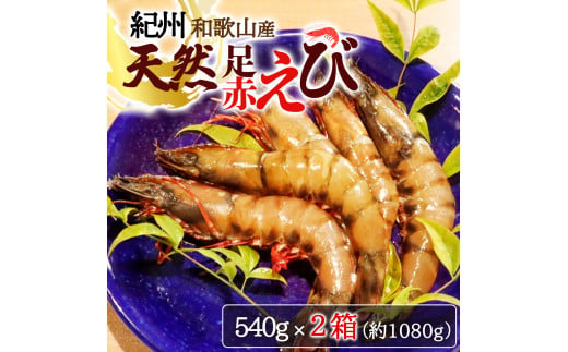 紀州和歌山産天然足赤えび540g×2箱（270g×4パック）化粧箱入 ※2026年12月上旬～2027年2月上旬頃順次発送予定（お届け日指定不可）（お届け日指定不可）／海老 エビ えび クマエビ 足赤 天然 おかず【uot773B】