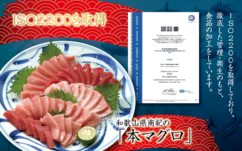 本マグロ トロ＆赤身セット240g（養殖） 【2ヶ月以内に順次発送】【配達日指定不可】 濃厚な赤身と高級部位トロの鮪好きにはたまらないセット【串本町×北山村】 高級 クロマグロ【nks113】