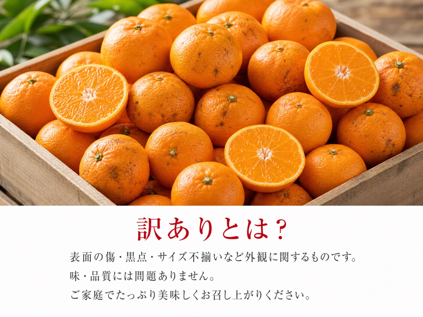 和歌山有田みかん10kg【訳ありご家庭用】2S～2Lサイズ混合【11月下旬～12月下旬頃発送予定】【uot871A】