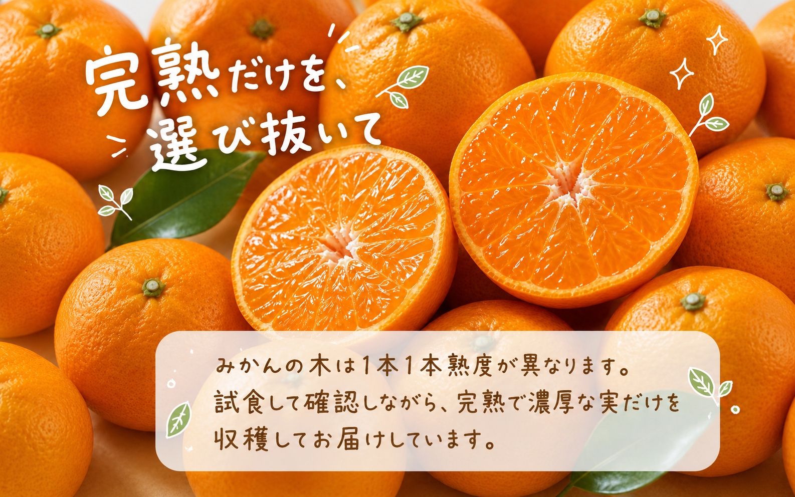 有田の小粒みかん5kg　(S～3Sサイズ混合) ※2026年11月下旬～2027年1月下旬頃に順次発送予定 / みかん ミカン 蜜柑 温州みかん 柑橘 フルーツ 果物 くだもの 和歌山【uot845】 