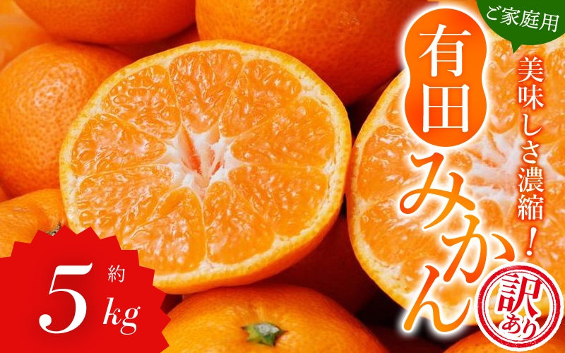 【訳あり みかん 5kg】 訳あり 有田みかん 約5kg サイズ混合 / フルーツ 果物 くだもの 柑橘 みかん ミカン オレンジ 温州ミカン みかん 名産地 甘い みかん ご家庭用 訳ありみかん 蜜柑 有機質肥料100% 有田 産地直送 ※2026年11月～2027年1月に順次発送予定（お届け日指定不可）※北海道・沖縄・離島への配送不可【nuk161E】