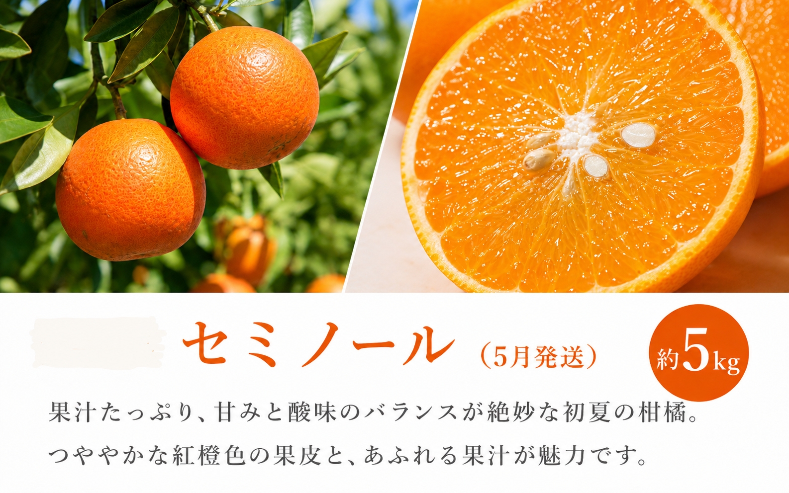 【全3回】紀州和歌山産旬のフルーツ定期便（セミノール・スイカ・桃）【5月・6月・7月】【tkb453】