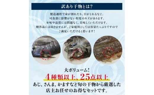 【訳あり干物】たっぷり25点以上！おざきのひもの「おまかせスペシャルセット」【ご好評につき再販決定】【冷凍】 わけあり 訳アリ お取り寄せ 特産品 ひもの 干物 干物セット 支援 支援品