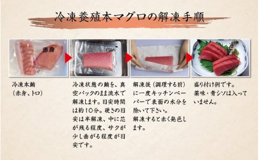 マグロ 本マグロ 赤身＆中トロ 500g 刺身 / マグロ 中トロ 赤身 クロマグロ 冷凍 本マグロ 海鮮丼 まぐろ 刺身【10月発送】【nks110D-10】