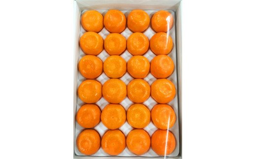 赤秀品　紀州和歌山ハウスみかん2.5kg【予約】※2027年6月末頃〜7月中旬頃に順次発送予定(お届け日指定不可)【uot735A】