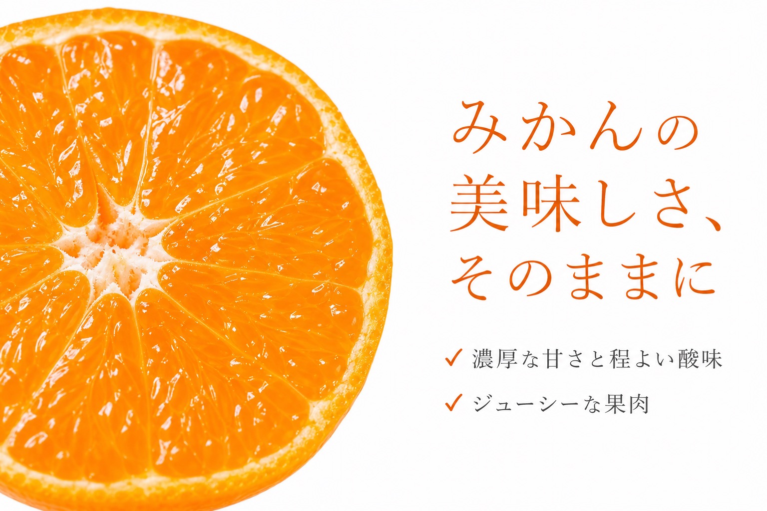 和歌山有田みかん10kg【訳ありご家庭用】2S～2Lサイズ混合【11月下旬～12月下旬頃発送予定】【uot871A】