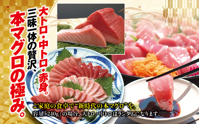 【お正月予約12月25日～29日発送】 本まぐろ トロ＆赤身セット 500g じゃばらまぐろ【nks110E-sg】