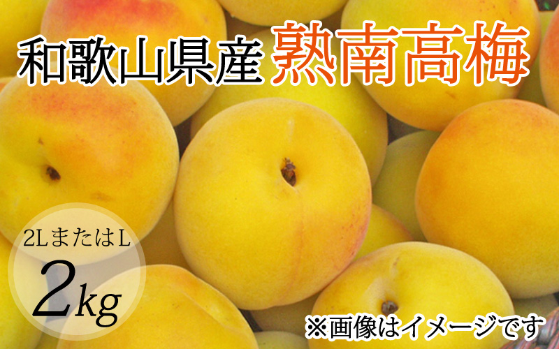 【梅干・梅酒用】（2LまたはL－2Kg）熟南高梅＜2027年6月上旬～7月上旬ごろに順次発送予定＞【art010B】