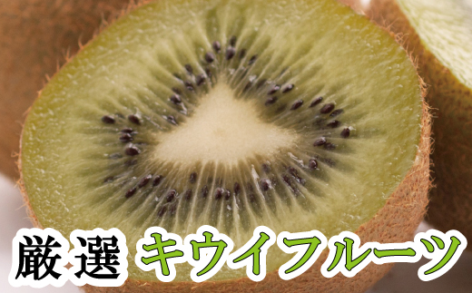 厳選キウイフルーツ5kg+250g（傷み補償分）【ikd133D】