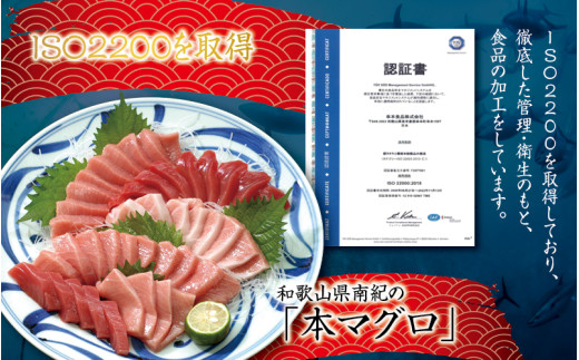 マグロ 本マグロ 大トロ・中トロ・赤身 1kg / マグロ 大トロ 中トロ 赤身 クロマグロ 刺身 冷凍 本マグロ 海鮮丼 まぐろ 寿司【10月発送】【nks105B-10】