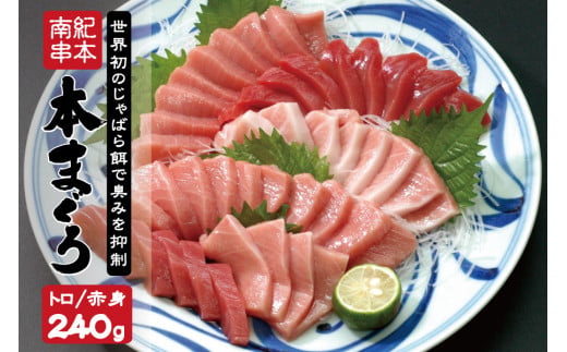 本マグロ トロ＆赤身セット240g（養殖） 【2ヶ月以内に順次発送】【配達日指定不可】 濃厚な赤身と高級部位トロの鮪好きにはたまらないセット【串本町×北山村】 高級 クロマグロ【nks113】