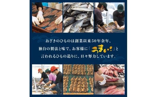 【訳あり干物セット】たっぷり15点以上！おざきのひもの「おまかせスペシャルセット」【冷凍】/ ひもの 干物 干物セット 個包装 イカ 一夜干し 訳あり わけあり【ozk103A-1】