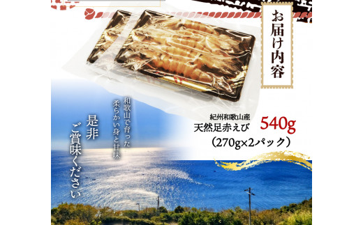 紀州和歌山産天然足赤えび540g（270g×2パック）化粧箱入 ※2026年12月上旬～2027年2月上旬頃順次発送予定（お届け日指定不可）／海老 エビ えび クマエビ 足赤 天然 おかず【uot772B】