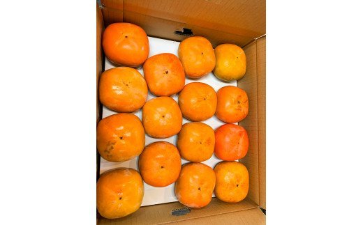 【2026年発送分予約】和歌山秋の味覚　平核無柿（ひらたねなしがき）　約4kg　化粧箱入　※2026年10月上旬頃～11月上旬頃に順次発送（お届け日指定不可）【uot701B】