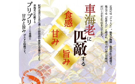 紀州和歌山産天然足赤えび540g×2箱（270g×4パック）化粧箱入 ※2026年12月上旬～2027年2月上旬頃順次発送予定（お届け日指定不可）（お届け日指定不可）／海老 エビ えび クマエビ 足赤 天然 おかず【uot773B】