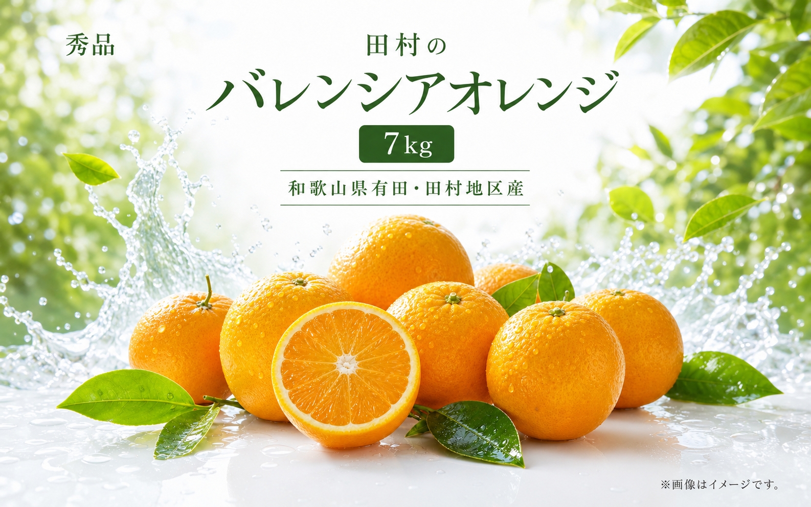 秀品　田村のバレンシアオレンジ　約7kg　※2027年6月下旬頃～7月上旬頃 順次発送予定【uot872A】
