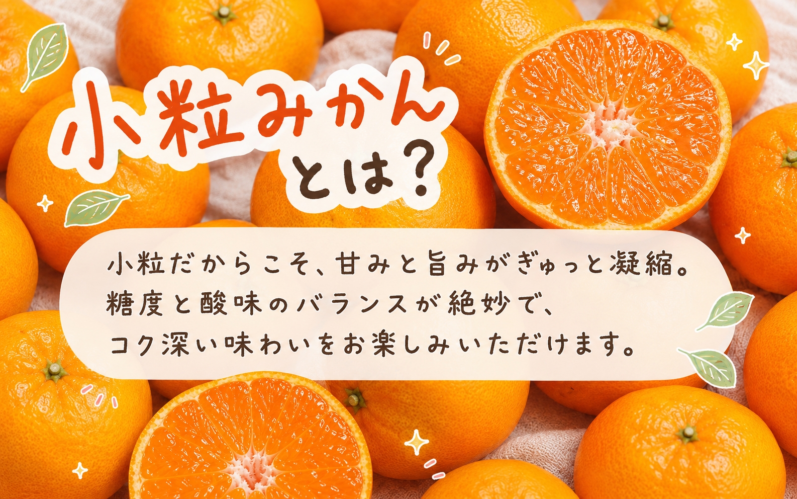 有田の小粒みかん5kg　(S～3Sサイズ混合) ※2026年11月下旬～2027年1月下旬頃に順次発送予定 / みかん ミカン 蜜柑 温州みかん 柑橘 フルーツ 果物 くだもの 和歌山【uot845】 