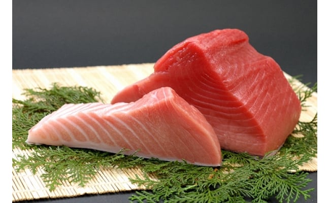 マグロ 本マグロ 赤身＆中トロ 500g 刺身 / マグロ 中トロ 赤身 クロマグロ 冷凍 本マグロ 海鮮丼 まぐろ 刺身【11月発送】【nks110D-11】