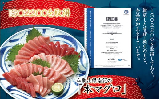 マグロ 本マグロ 赤身＆中トロ 500g 刺身 / マグロ 中トロ 赤身 クロマグロ 冷凍 本マグロ 海鮮丼 まぐろ 刺身【10月発送】【nks110D-10】