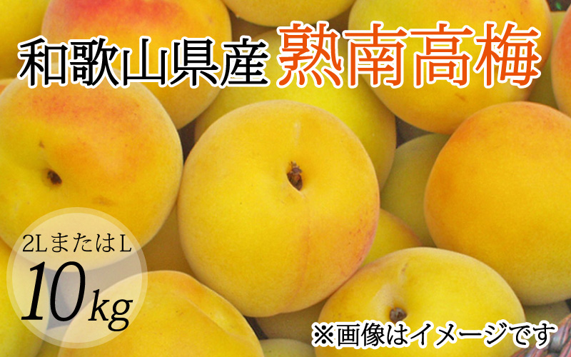 【梅干・梅酒用】（2LまたはL－10Kg）熟南高梅＜2027年6月上旬～7月上旬ごろに順次発送予定＞【art011C】