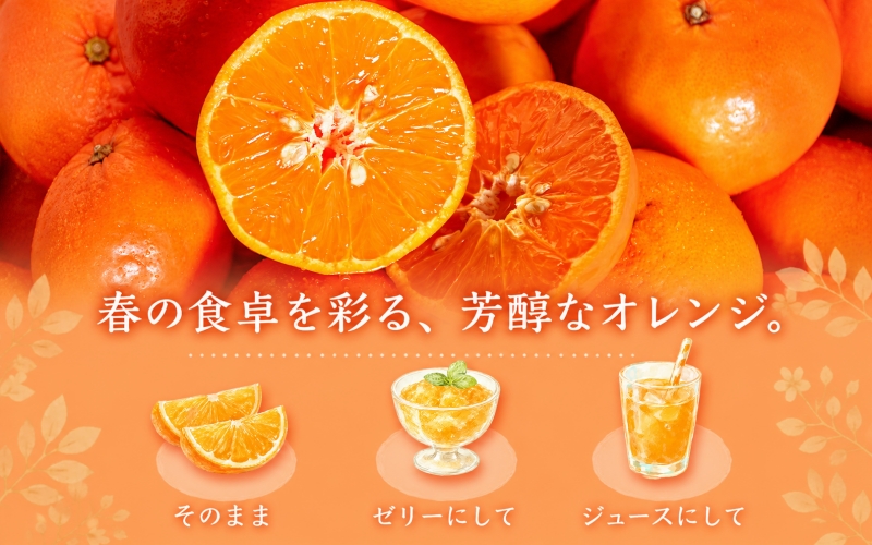 ジューシー柑橘　セミノールオレンジ　5kg【5月上旬～5月下旬頃発送予定】【uot869A】