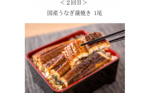 【全4回】困った時の1品に！＼晩ご飯直行／絶品おかず定期便（さば・鰻・サケ・海鮮丼）