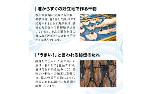 【訳あり干物セット】たっぷり15点以上！おざきのひもの「おまかせスペシャルセット」【冷凍】/ ひもの 干物 干物セット 個包装 イカ 一夜干し 訳あり わけあり【ozk103A-1】