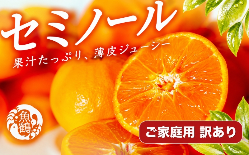 【ご家庭用訳あり】ジューシー柑橘　セミノールオレンジ　5kg【5月上旬～5月下旬に順次発送予定】【uot870A】