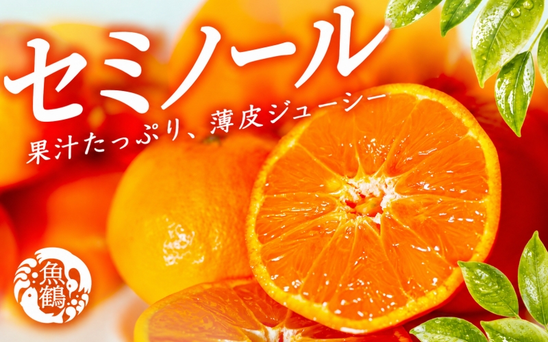 ジューシー柑橘　セミノールオレンジ　5kg【5月上旬～5月下旬頃発送予定】【uot869A】