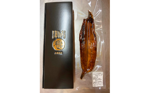 【国産 大型サイズ】ふっくら柔らか国産うなぎ蒲焼き 約２人前 化粧箱入  うなぎ 国産 特大【uot714B】