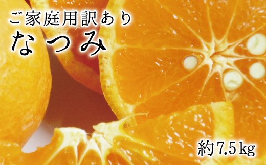 【ご家庭用訳アリ】初夏のみかん なつみ7.5kg　※2027年4月中旬頃～2027年4月下旬頃に順次発送予定(お届け日指定不可)【uot733B】
