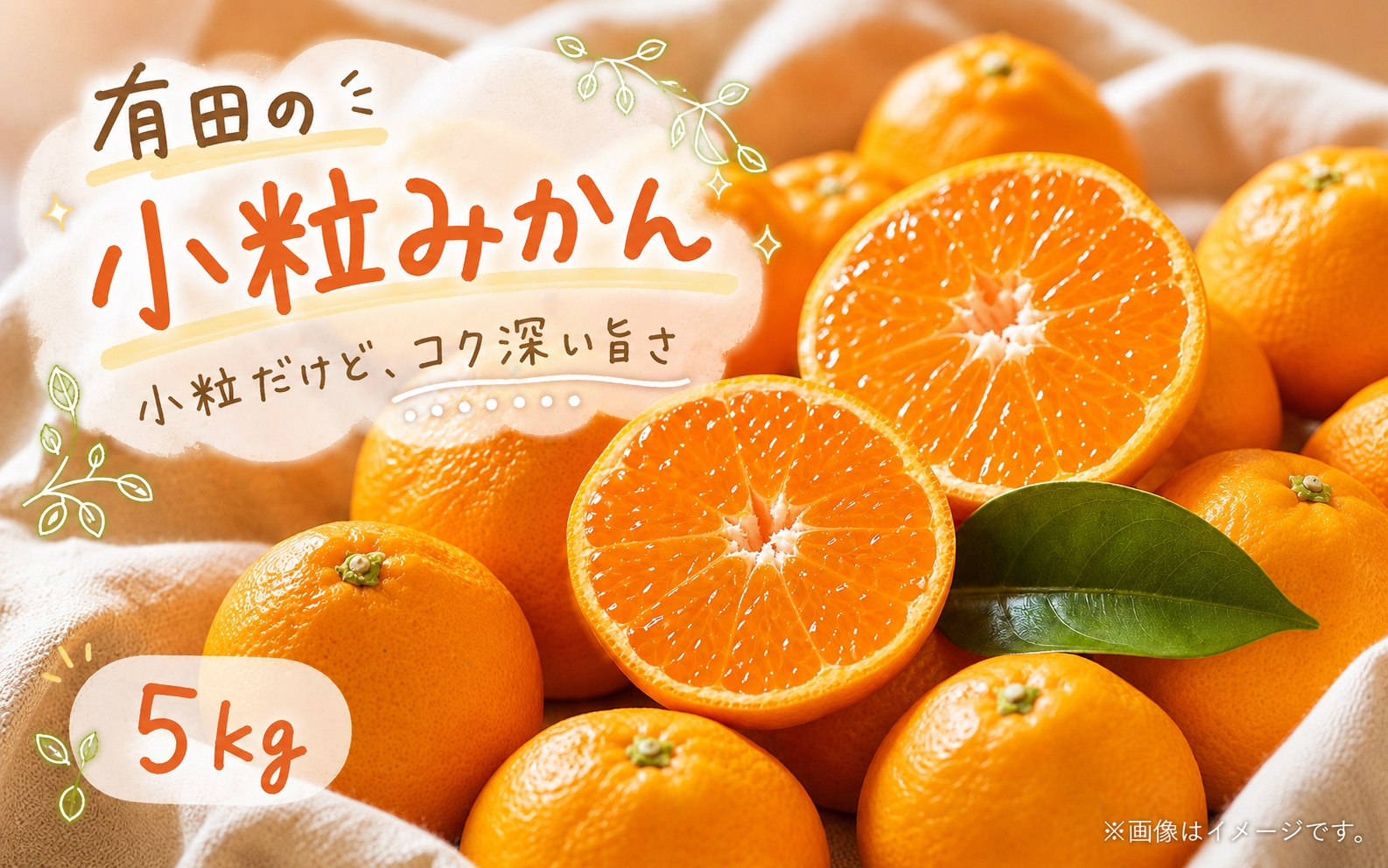 有田の小粒みかん5kg　(S～3Sサイズ混合) ※2026年11月下旬～2027年1月下旬頃に順次発送予定 / みかん ミカン 蜜柑 温州みかん 柑橘 フルーツ 果物 くだもの 和歌山【uot845】 