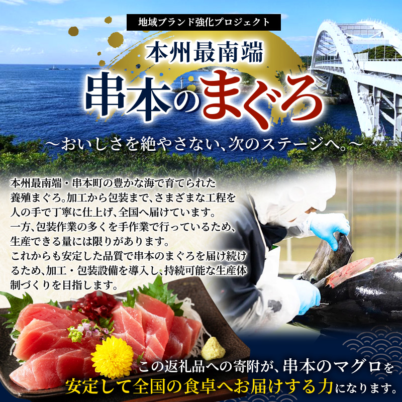 かつお かつおのたたき 3kg (藻塩付き) 訳あり サイズふぞろい 焼きが命！ 藁焼き / 鰹 かつお カツオのたたき 鰹のたたき 冷凍 真空 大容量 【nks107B】